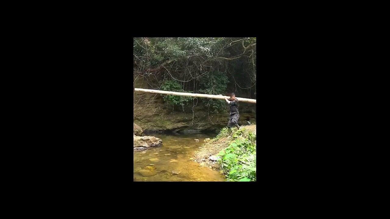 Building a River Hut| Nature|