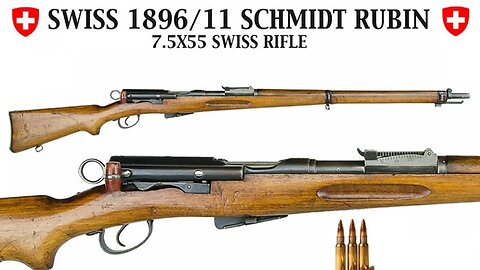 Swiss Schmidt-Rubin 1896/11 Range Review!