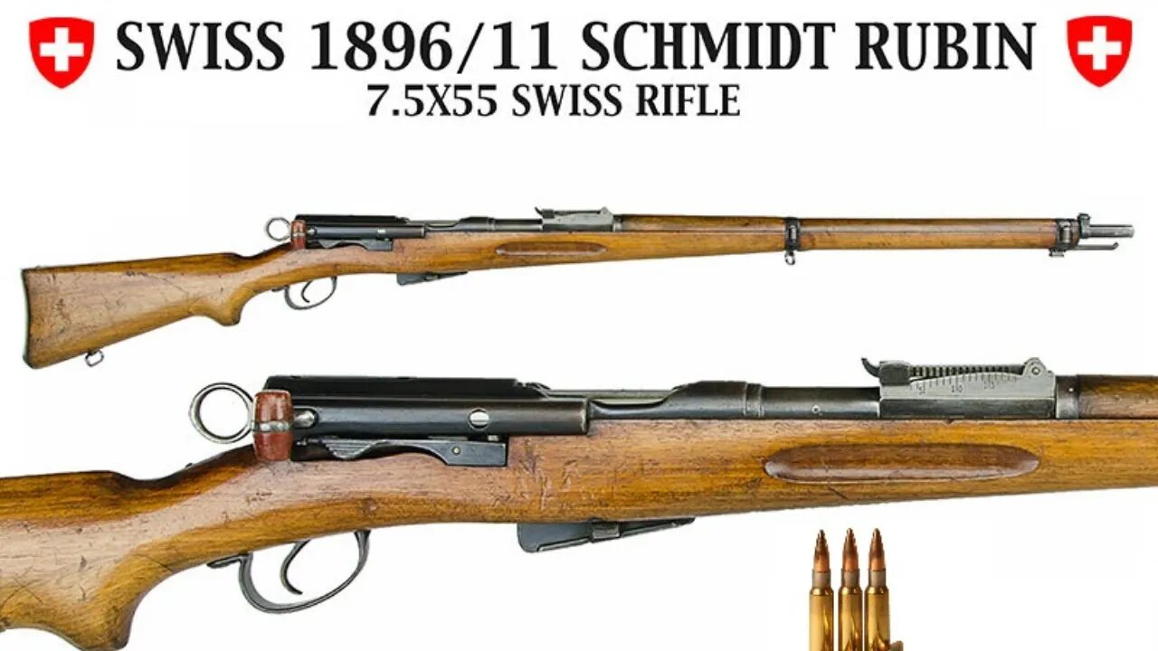 Swiss Schmidt-Rubin 1896/11 Range Review!