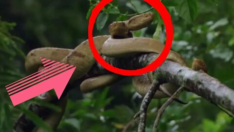 Top 3 places not to visit (Creepy Daisy Daisy) PART 1