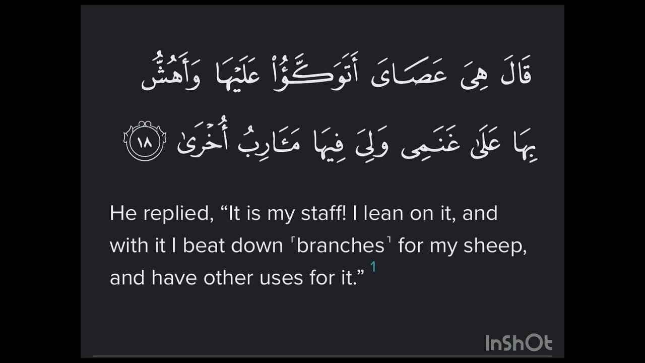 Surah TaHa Ayat 18