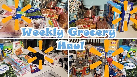 Weekly Haul | Walmart Haul | Aldi Haul | Family of 5 | Meal plan |Under Budget | February 2024