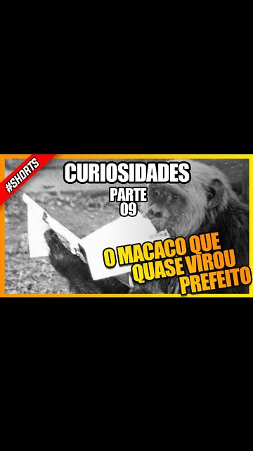 O MACACO QUE QUASE VIROU PREFEITO DO RIO DE JANEIRO #shorts #curiosidades #historia #fatoscurioso