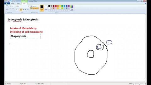 Biology 9th Endocytosis & Exocytosis P1