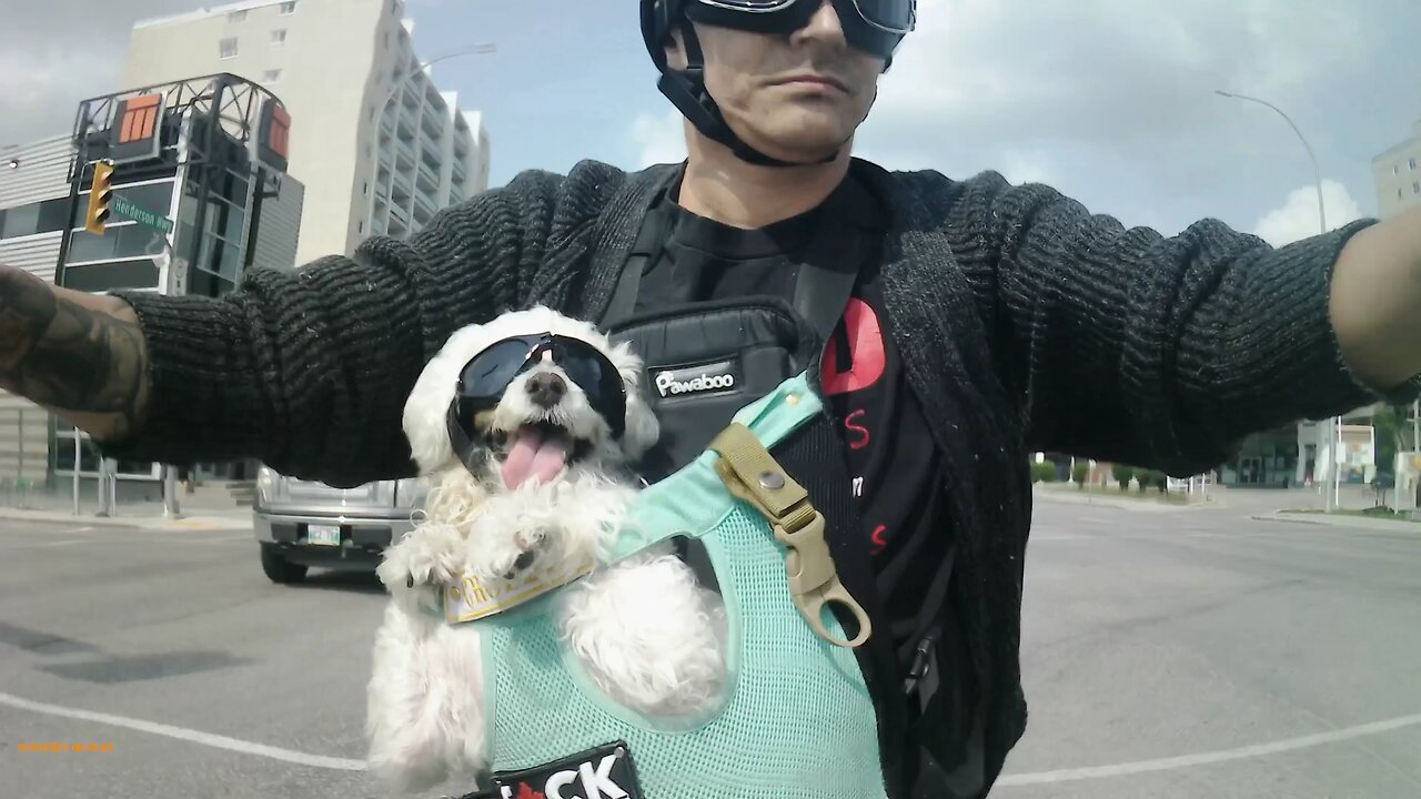 Dog (Crosby) goes for motorcycle ride