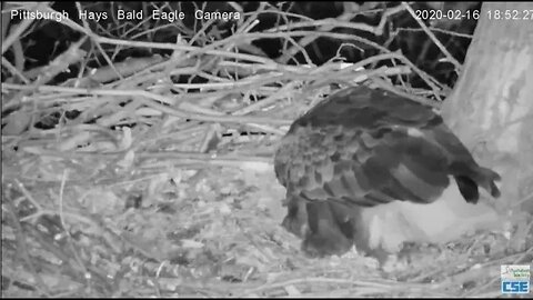 Hays Mom reveals Egg 2 2020 02 16 652PM