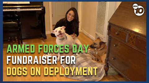 Nonprofit fostering dogs with owners on deployment hosts fundraiser this weekend