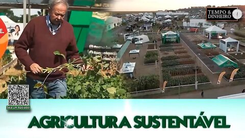 Conheça a bonita história da Cultivar de Soja Cristalina da FT Sementes com Francisco Terasawa