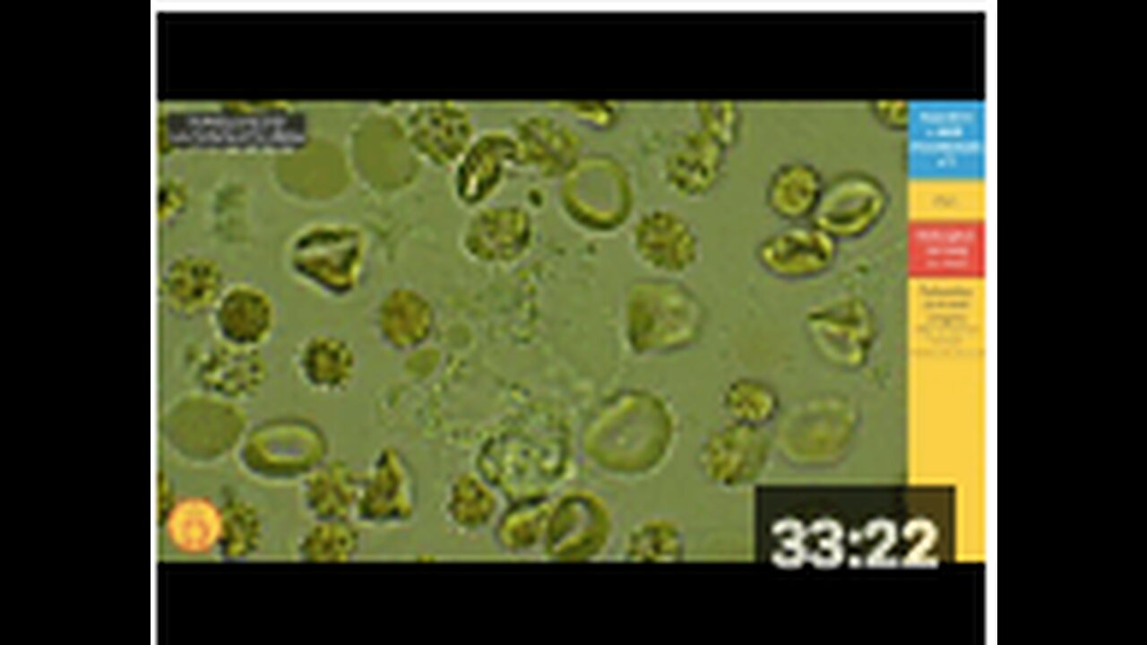 NEXT DOSE 2: But what is in these injections?