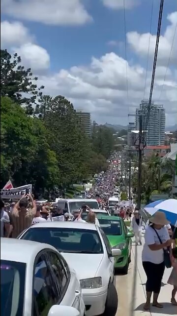 Massive crowds march against the madness on the Queensland/ NSW border today.