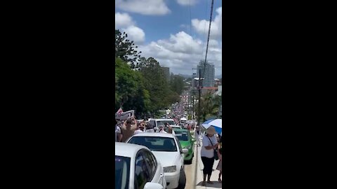 Massive crowds march against the madness on the Queensland/ NSW border today.