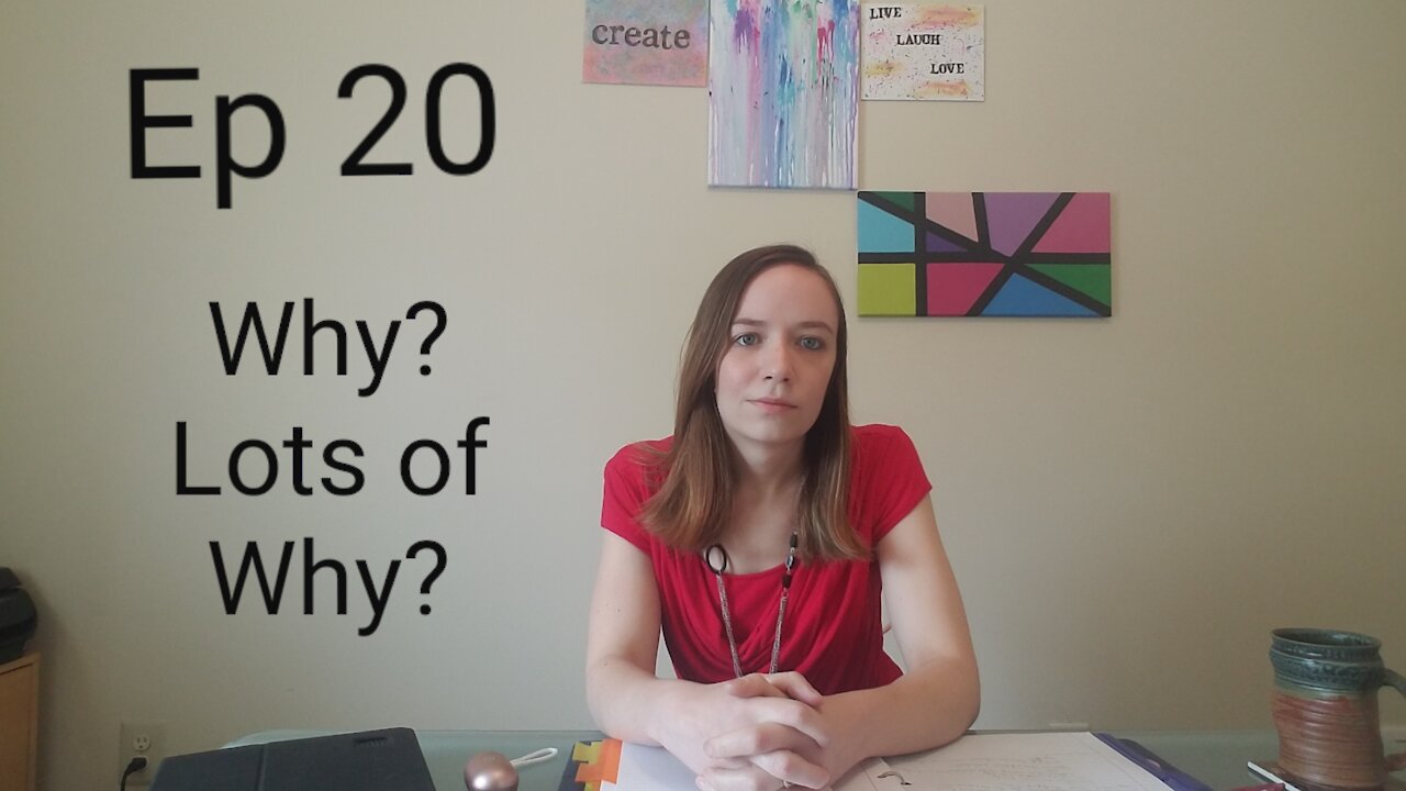 Ep 20 Why? Lots of Why?