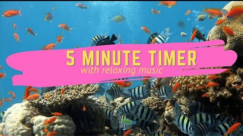 5 Minute Timer With Relaxing Music 2021 - Aquarium