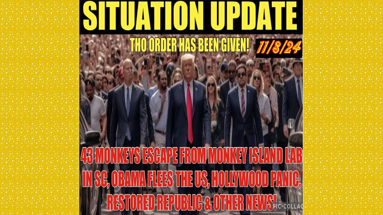 SITUATION UPDATE 11/8/24 - Monkeys Escape From Lab, Obama Flees Us, Hollywood Panic