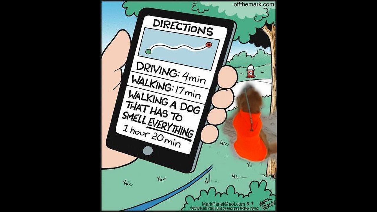 July 16th, 70º a long walk with Flynn. Loads of rambling on my part.