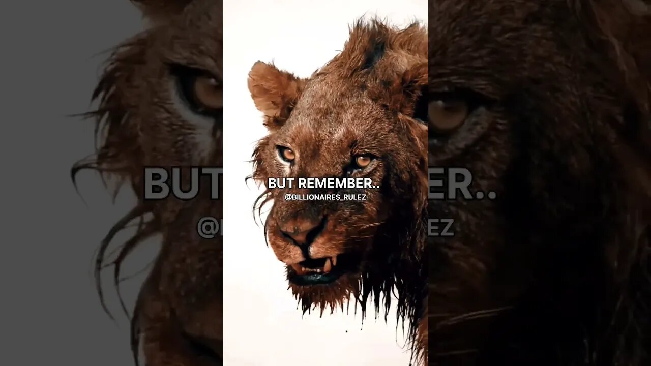 comeback stronger~whatsapp status #motivationalquotes #shorts