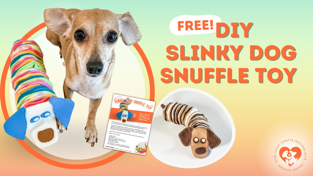 Fetch Your FREE DIY Dog Toy Guide