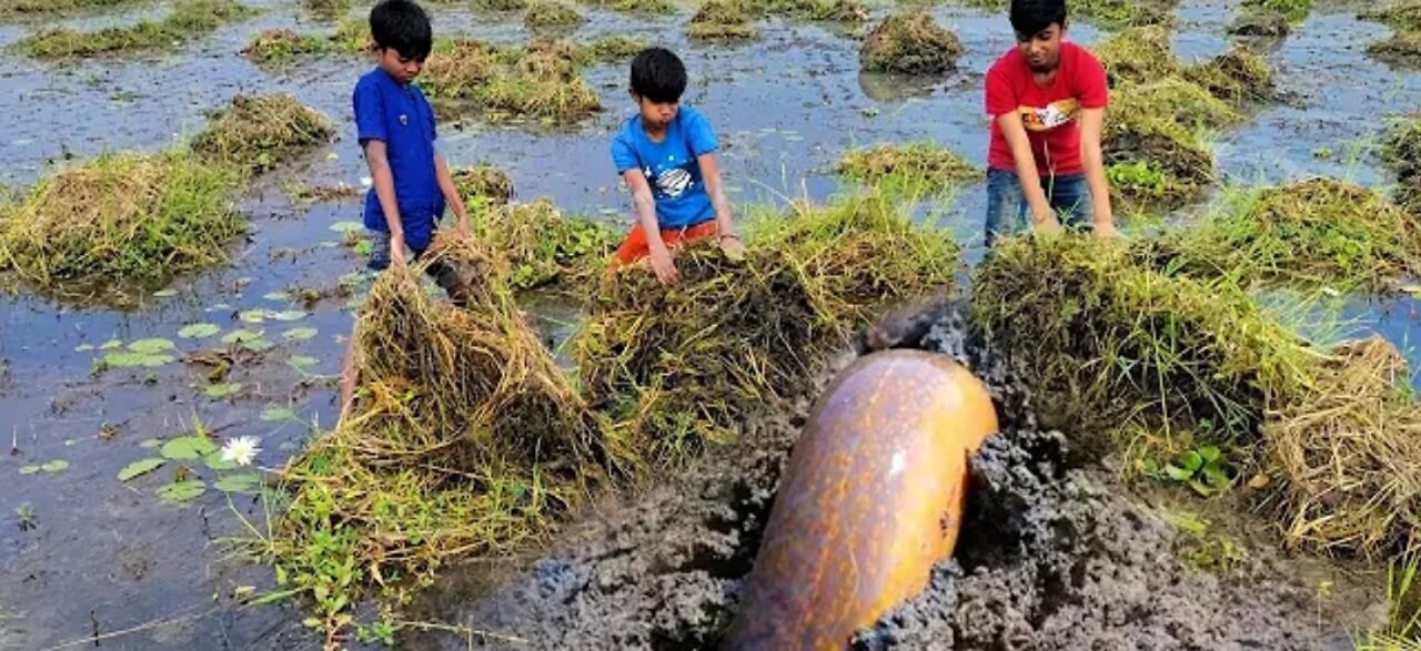 Catching bio shoal fish in mud water