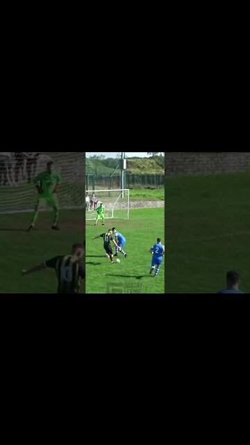 The best free kick ever 🤣🤡 #football #futebol #highlights