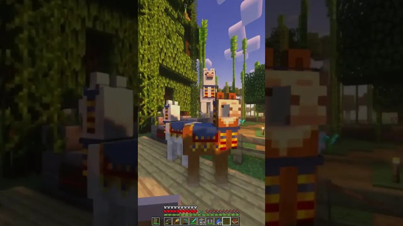 Minecraft 1.19 Realms New Shaders & Mods Survival Multiplayer Series Java SMP (Join Discord for IP!)