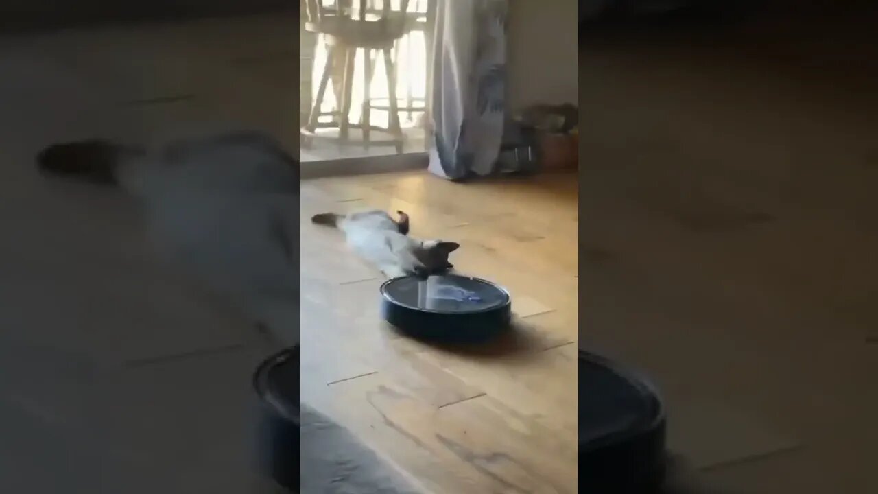 nível 100 de preguiça #shorts