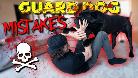 Guardian Breed Mistakes Cane Corso