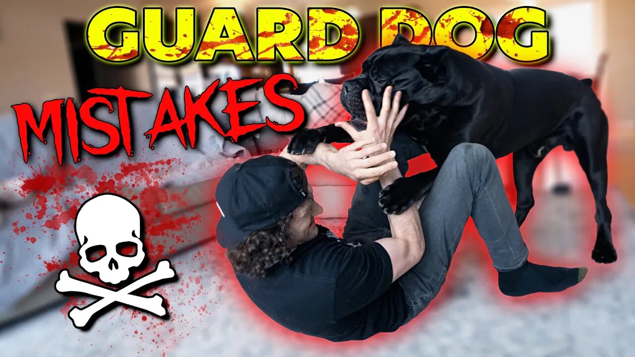 Guardian Breed Mistakes Cane Corso