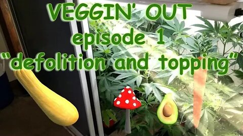 VEGGIN' OUT! w/ PolishHammer Episode 1 "Topping and Defolitation" Overvegged the closet again!! 🥦🍑🍆🔨