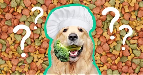 Dog Reviews Food With sounds hhh