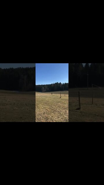 #shorts #2022 funny,prank,funjokes,dad jokes,funny memes,funny video,fun,laughing,funny animal,knock