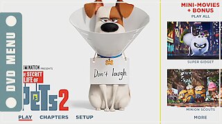 The Secret Life of Pets 2 - DVD Menu