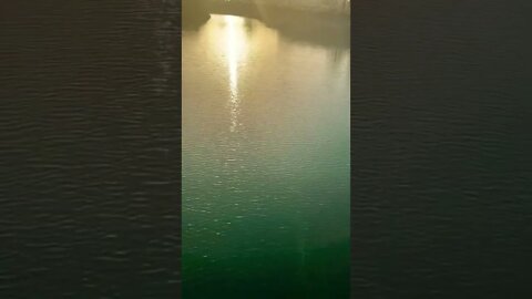 #oman #lifeinoman #subscribe #short #beautiful #nature #water #pani
