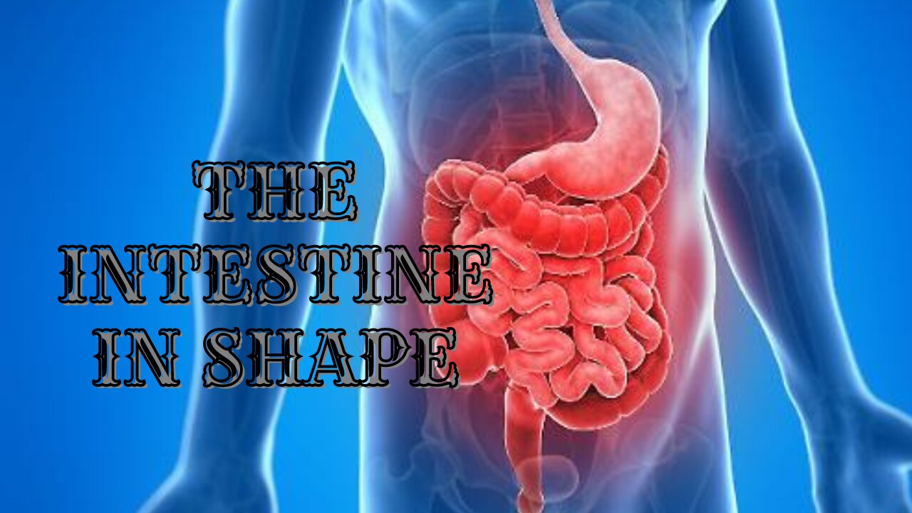 💫Absolute Healing of the Intestine💫The Healthy Intestine 💫Restoration of Intestinal Functionality💫