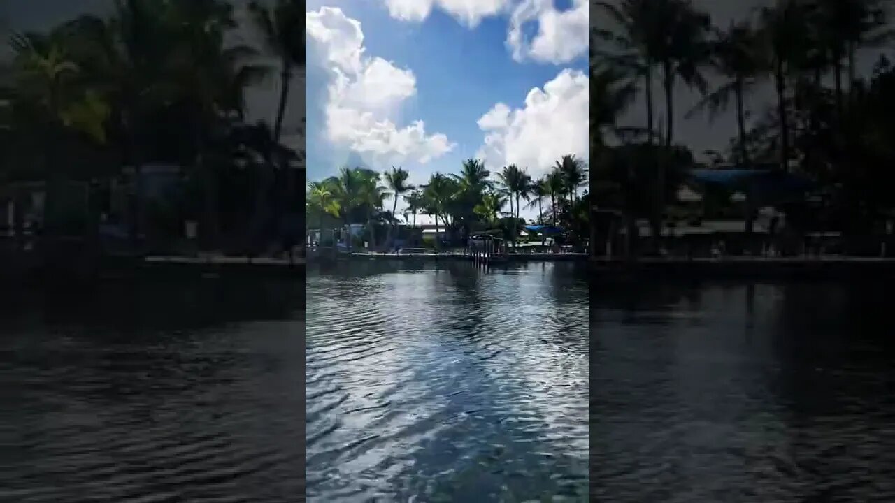 Paddling in Key Largo! 🏝🚣‍♂️🐟🐠🐡