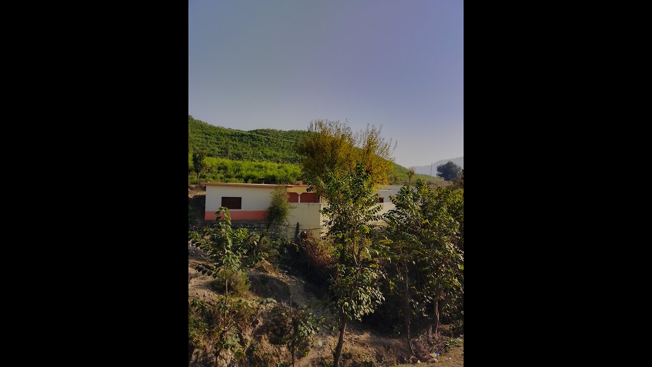 My village