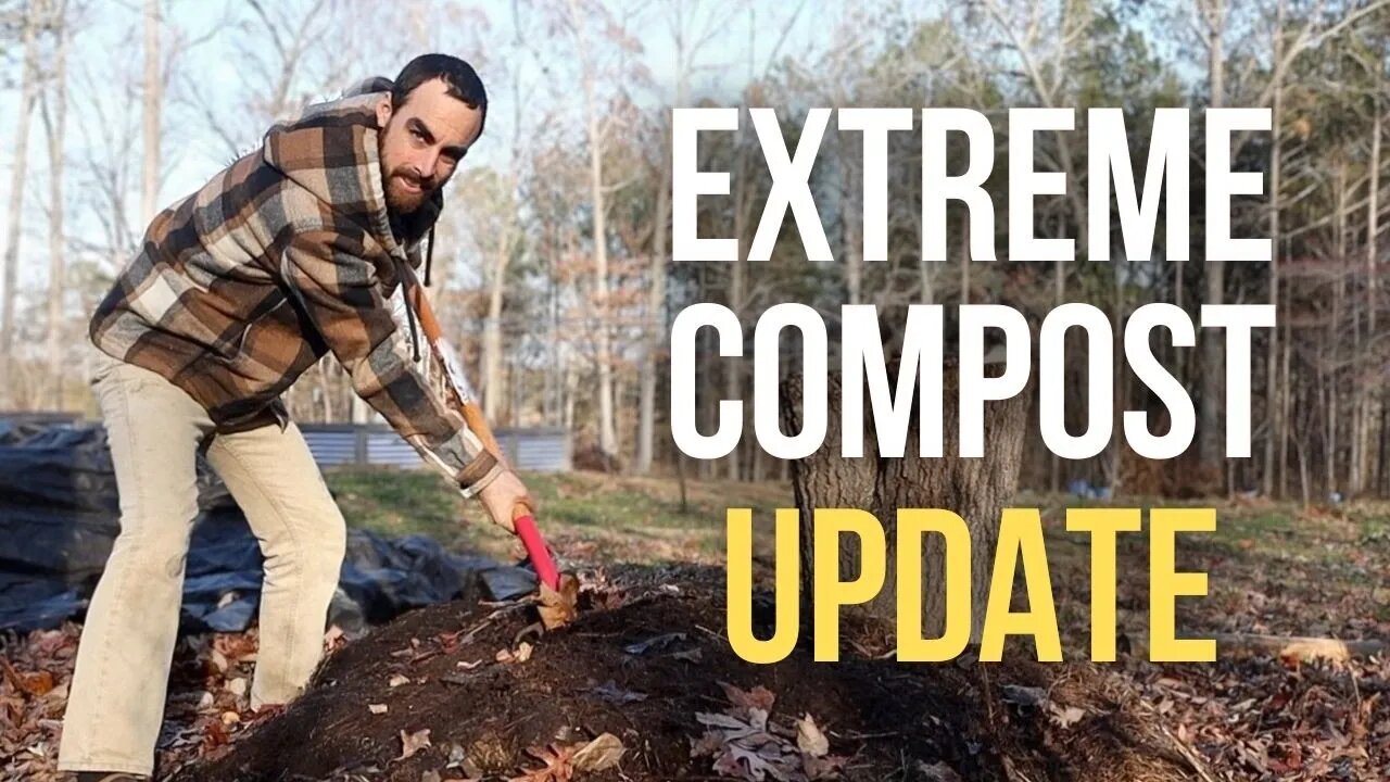 What Happens When You Compost a Body?