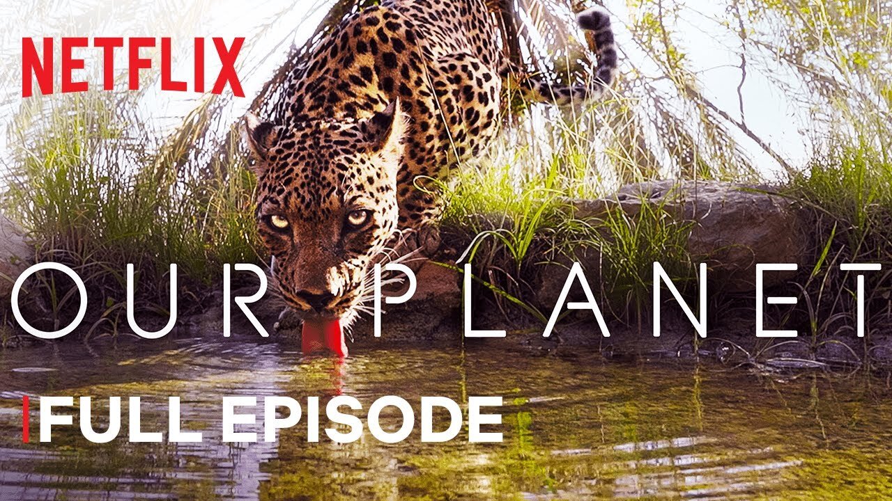 Our Planet From Deserts to Grasslands FULL EPISODE Netflix Latest Update & Release Date