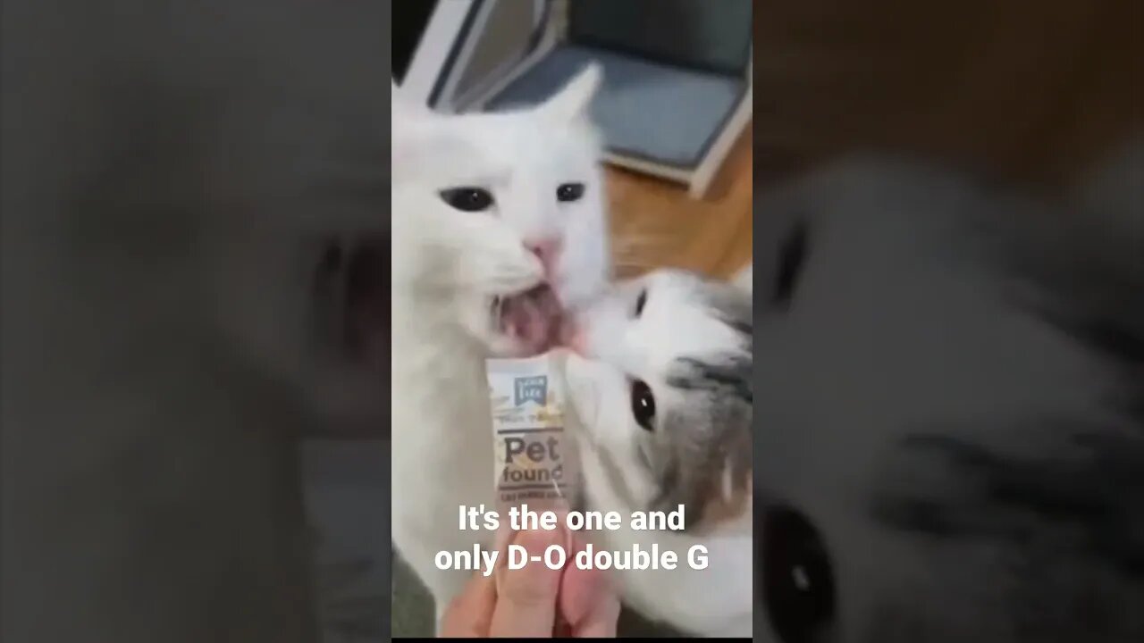 It's the one and only D-O double G #shorts