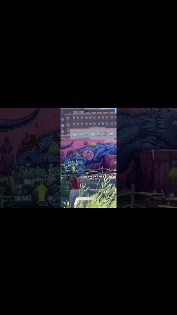 The Starving Artist Gallery in Moncton