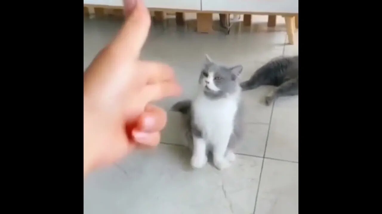 #SUBSCRIBE PLEASE - INCREVA POR FAVOR