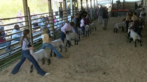 Mountain Digital Hometown TV Live Stream