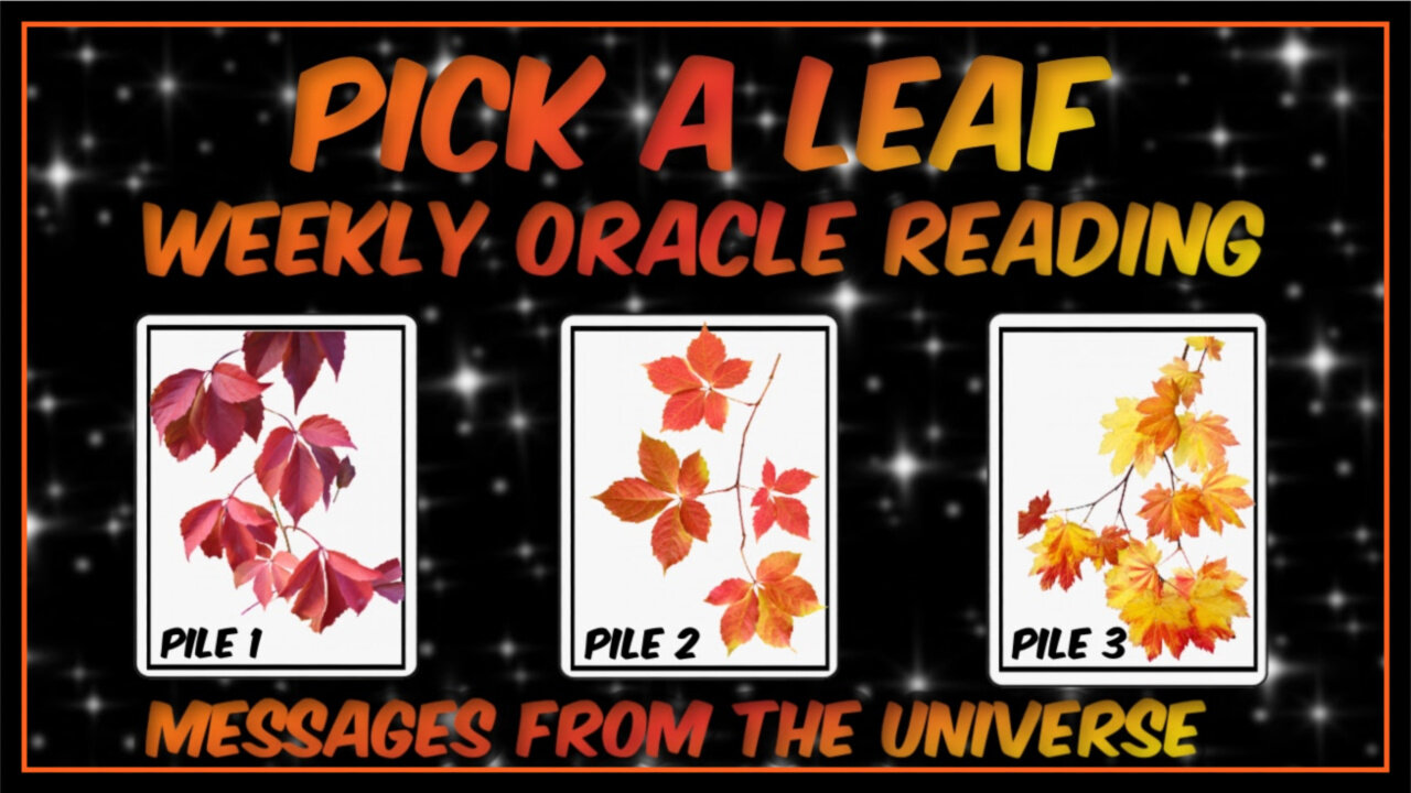 Pick A Card l Weekly Oracle Reading l Messages From The Universe l Timeless Reading🍁🍁🍁