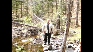 Hike Into Berry Mill Pond In The Spring