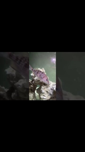 Who Knew That Would Happen ?