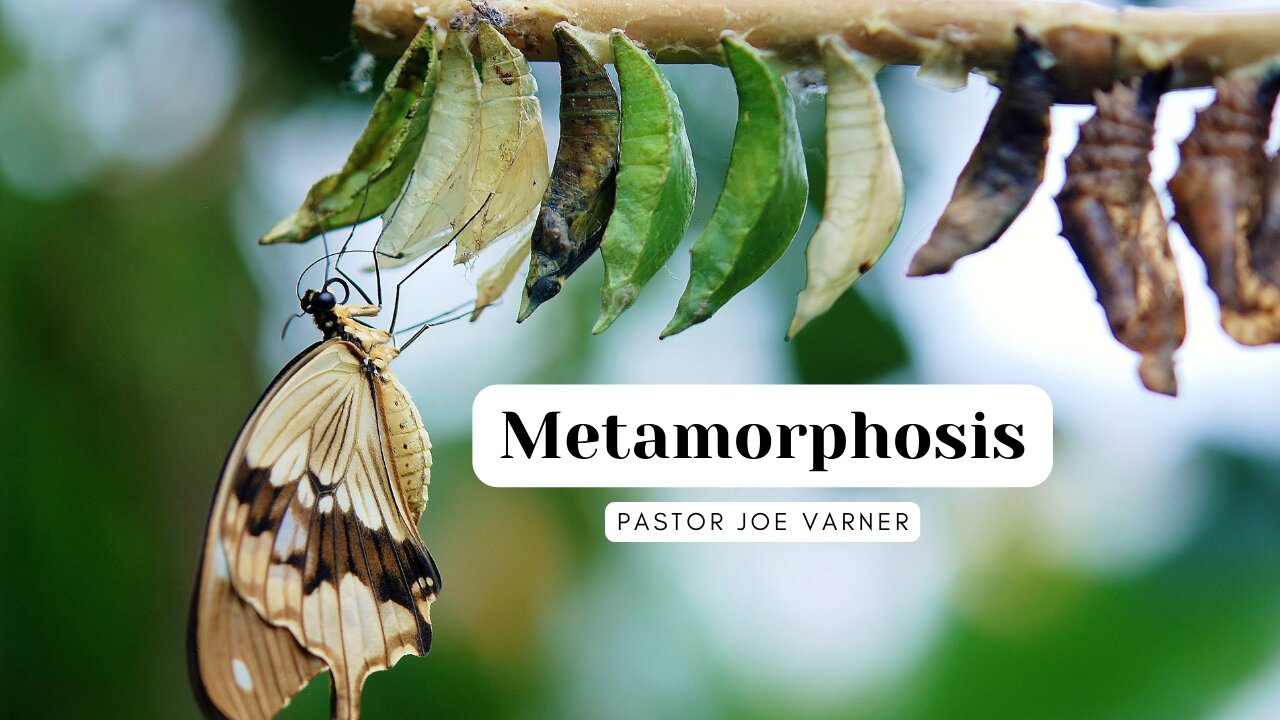 Metamorphosis