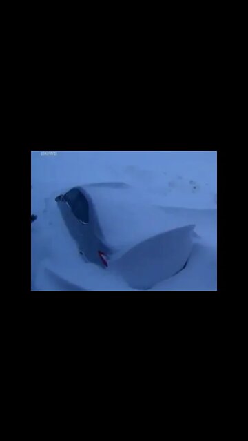 Global Warming Strikes Newfoundland