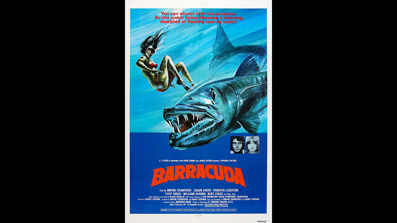 Barracuda 1978