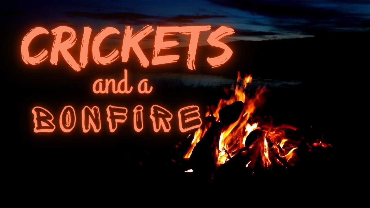 Crickets and a Bonfire | Crickets and Light | Ambient Sound | What Else Is There?