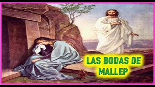 LAS BODAS DE MALLEP - CAPITULO 186 -VIDA DE JESUS Y MARIA POR ANA CATALINA EMMERICK