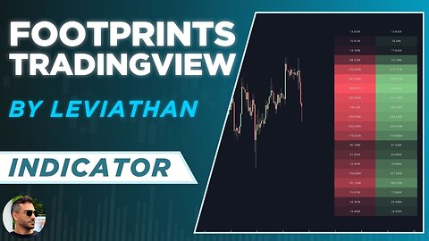 FOOTPRINTS Chart INDICATOR on TradingView by LeviathanCapital